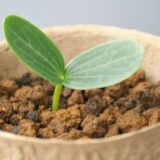 【まるっと定額】育てるホームページ制作