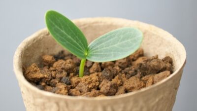 【まるっと定額】育てるホームページ制作